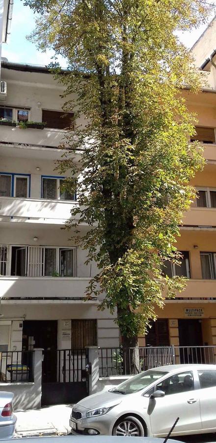 Studio Karma Budapest Ngoại thất bức ảnh